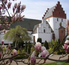 Kirkerne åbner igen.