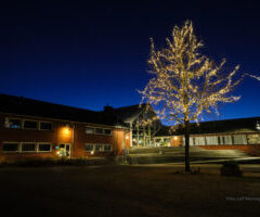 X-huset og Udviklingsrådet adskilles