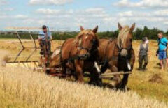 Høstgudstjeneste med musik samt sandwich og drikkevarer.