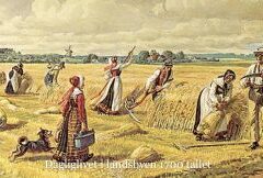 Tema-gudstjeneste i 1700-tallet