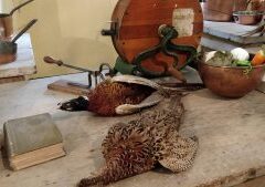 Så er der vildt på bordet